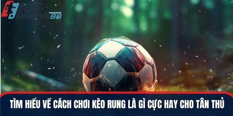 Tìm hiểu về cách chơi kèo rung là gì cực hay dành cho tân thủ