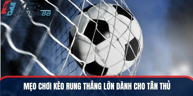 Mẹo chơi kèo rung thắng lớn dành cho tân thủ mới vào nghề