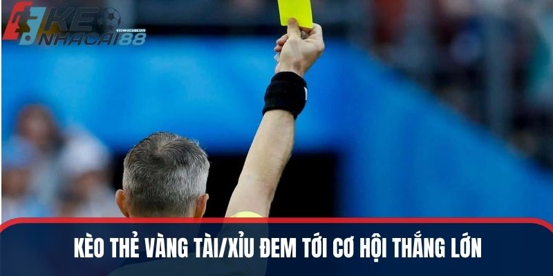 Kèo thẻ vàng tài/xỉu đem tới cơ hội thắng lớn
