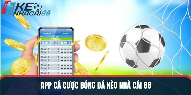 app cá cược bóng đá